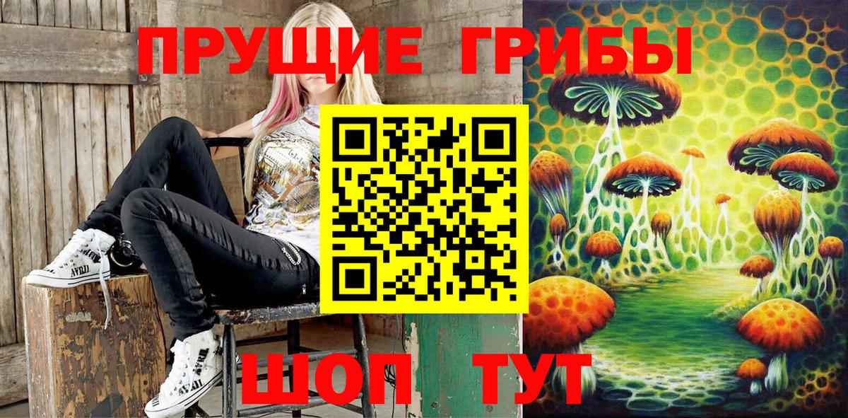 Псилоцибиновые грибы Cubensis  Вход с VPN  Ревда 
